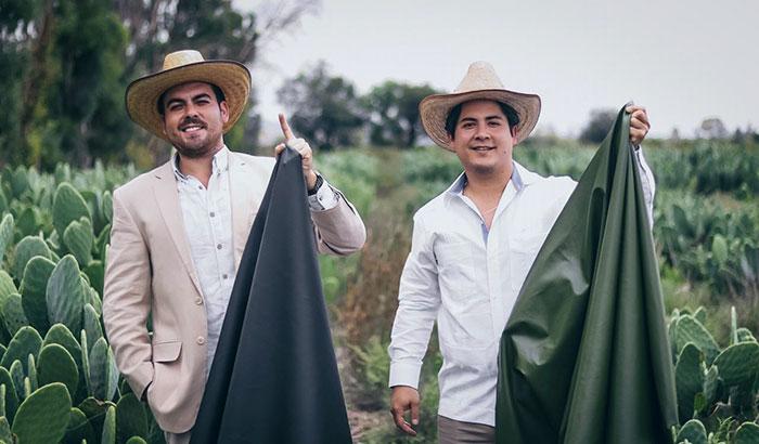 墨西哥企业家为提倡环保将仙人掌制成植物皮革